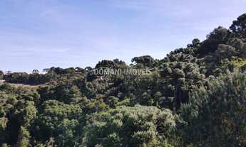 Imagem 3: TERRENO RESIDENCIAL em CAMPOS DO JORDÃO - SP, Região do Alto da Boa Vista