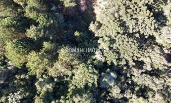 Imagem 4: TERRENO RESIDENCIAL em CAMPOS DO JORDÃO - SP, Região do Alto da Boa Vista