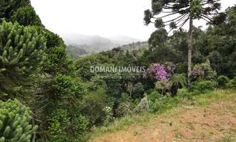 Imagem 3: 1270M² de Área Total