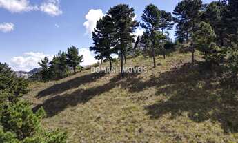 Imagem: TERRENO RESIDENCIAL em CAMPOS DO JORDÃO