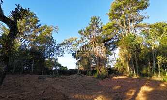 Imagem: TERRENO RESIDENCIAL em CAMPOS DO JORDÃO