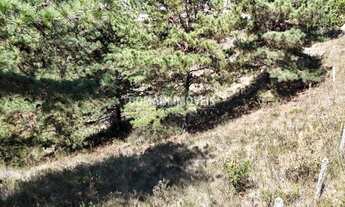 Imagem 3: TERRENO RESIDENCIAL em CAMPOS DO JORDÃO - SP, Região do Atalaia