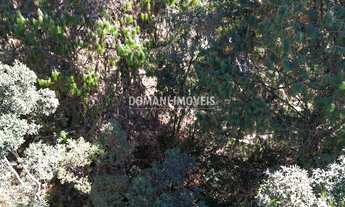 Imagem 5: TERRENO RESIDENCIAL em CAMPOS DO JORDÃO - SP, Região do Vale Encantado