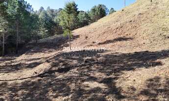 Imagem 5: TERRENO RESIDENCIAL em CAMPOS DO JORDÃO - SP, Região do Vale Encantado