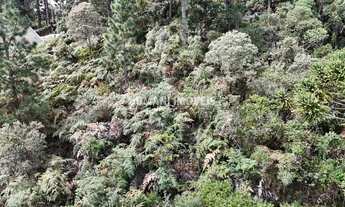 Imagem 3: TERRENO RESIDENCIAL em CAMPOS DO JORDÃO - SP, Região do Imbiri
