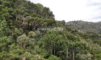 Imagem 5: TERRENO RESIDENCIAL em CAMPOS DO JORDÃO - SP, Região do Imbiri