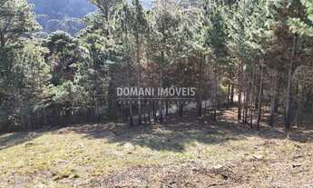 Imagem 6: TERRENO RESIDENCIAL em CAMPOS DO JORDÃO - SP, Região do Vale Encantado