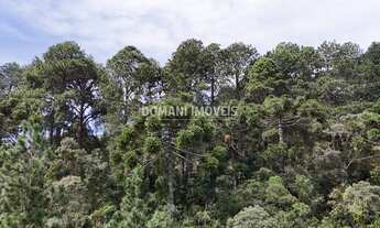 Imagem 7: TERRENO RESIDENCIAL em CAMPOS DO JORDÃO - SP, Região do Imbiri