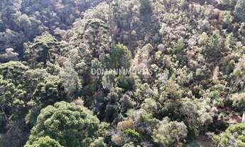 Imagem 2: AREA RESIDENCIAL em CAMPOS DO JORDÃO - SP, Região do Atalaia