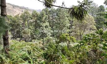 Imagem 2: TERRENO RESIDENCIAL em CAMPOS DO JORDÃO - SP, Região do Imbiri