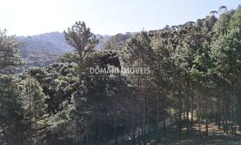 Imagem 4: TERRENO RESIDENCIAL em CAMPOS DO JORDÃO - SP, Região do Vale Encantado