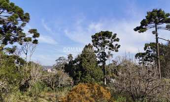 Imagem: AREA RESIDENCIAL em CAMPOS DO JORDÃO