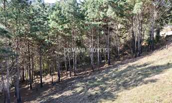 Imagem 2: TERRENO RESIDENCIAL em CAMPOS DO JORDÃO - SP, Região do Vale Encantado