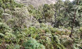Imagem 6: TERRENO RESIDENCIAL em CAMPOS DO JORDÃO - SP, Região do Imbiri