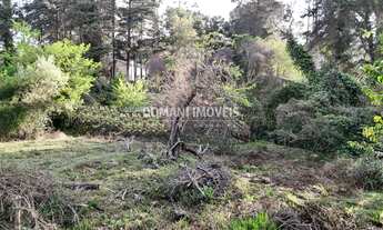 Imagem: TERRENO COMERCIAL em CAMPOS DO JORDÃO