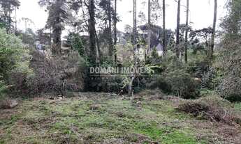 Imagem 7: TERRENO COMERCIAL em CAMPOS DO JORDÃO - SP, Região de Capivari
