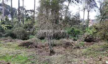 Imagem 4: TERRENO COMERCIAL em CAMPOS DO JORDÃO - SP, Região de Capivari