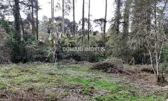 Imagem 2: TERRENO COMERCIAL em CAMPOS DO JORDÃO - SP, Região de Capivari