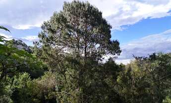 Imagem 6: CASA RESIDENCIAL em CAMPOS DO JORDÃO - SP, Região do Alto da Boa Vista