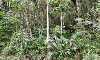 Imagem 4: 1030M² de Área Total