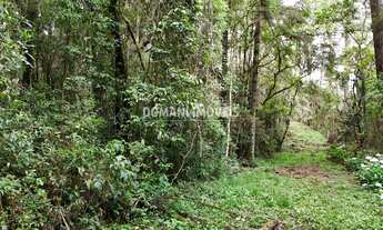 Imagem 2: 10260M² de Área Total