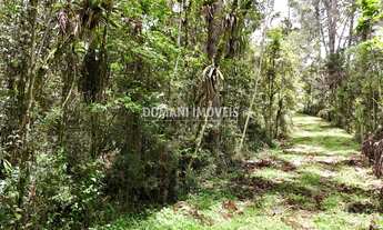 Imagem: TERRENO RESIDENCIAL em CAMPOS DO JORDÃO