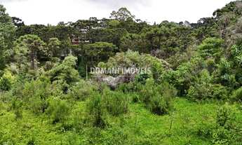 Imagem: 1590M² de Área Total