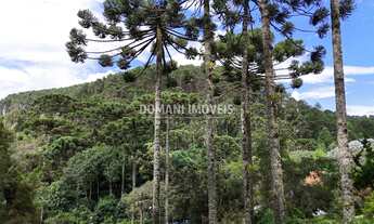 Imagem 4: TERRENO RESIDENCIAL em CAMPOS DO JORDÃO - SP, Região de Descansópolis