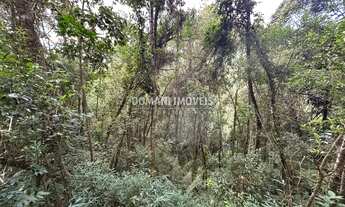 Imagem 4: TERRENO RESIDENCIAL em CAMPOS DO JORDÃO - SP, Região do Parque da Água Santa