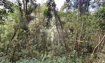 Imagem 2: TERRENO RESIDENCIAL em CAMPOS DO JORDÃO - SP, Região do Parque da Água Santa