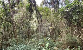 Imagem 7: TERRENO RESIDENCIAL em CAMPOS DO JORDÃO - SP, Região do Parque da Água Santa