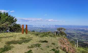 Imagem 4: 2 dormitórios, 1 banheiros, 3 vagas na garagem