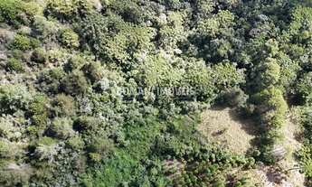 Imagem 6: AREA RESIDENCIAL em CAMPOS DO JORDÃO - SP, Região do Toriba