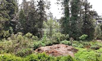 Imagem: AREA RESIDENCIAL em CAMPOS DO JORDÃO