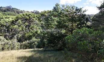 Imagem 7: AREA RESIDENCIAL em CAMPOS DO JORDÃO - SP, Região do Toriba