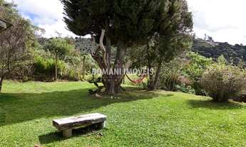 Imagem 7: 4 dormitórios, 1 suítes, 1 banheiros, 4 vagas na garagem