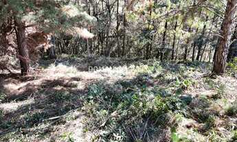 Imagem 7: TERRENO RESIDENCIAL em CAMPOS DO JORDÃO - SP, Região do Imbiri