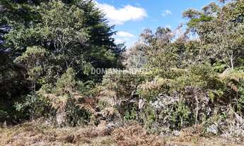 Imagem: TERRENO RESIDENCIAL em CAMPOS DO JORDÃO