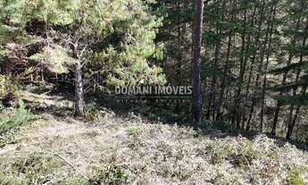 Imagem 3: TERRENO RESIDENCIAL em CAMPOS DO JORDÃO - SP, Região do Imbiri