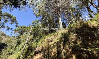 Imagem: TERRENO RESIDENCIAL em CAMPOS DO JORDÃO