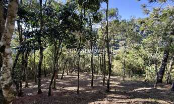 Imagem: TERRENO RESIDENCIAL em CAMPOS DO JORDÃO