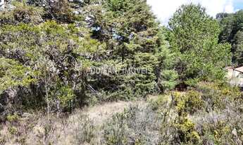 Imagem 6: TERRENO RESIDENCIAL em CAMPOS DO JORDÃO - SP, Região do Vale Encantado