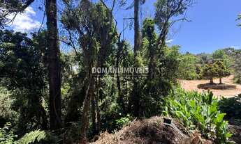 Imagem 4: TERRENO RESIDENCIAL em CAMPOS DO JORDÃO - SP, Região do Alto da Vila Inglesa