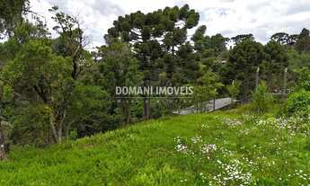 Imagem 4: TERRENO RESIDENCIAL em CAMPOS DO JORDÃO - SP, Região do Alto da Vila Inglesa
