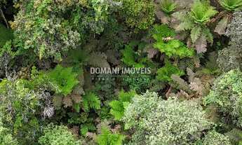 Imagem 4: TERRENO RESIDENCIAL em CAMPOS DO JORDÃO - SP, Região de Capivari