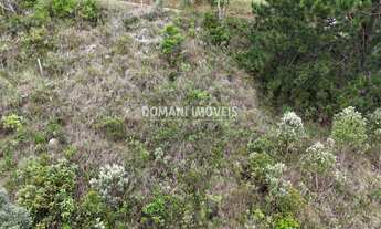 Imagem 4: 1250M² de Área Total