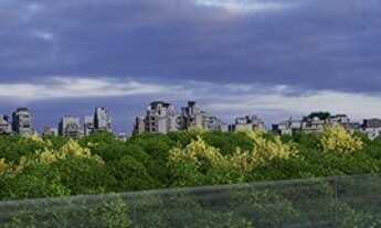 Imagem 7: Casa Jardim Teviot