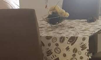 Imagem: Casa Residencial em Mogi Guaçu - SP, Sakaida