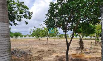 Imagem 4: 2400M² de Área Total