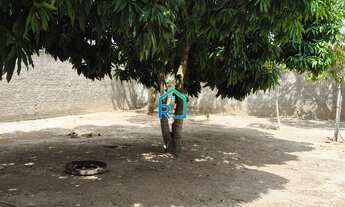 Imagem 4: CHACARA RESIDENCIAL em BOM JESUS - RN, Centro